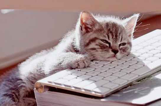 boring-website, Redesign your WordPress website