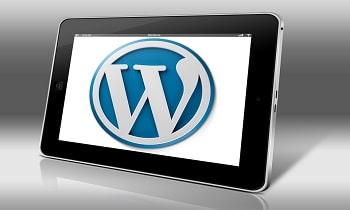 Scale Your Business? A WordPress Website Can Help